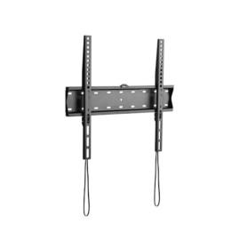 Display mount Gembird WM-55F-02