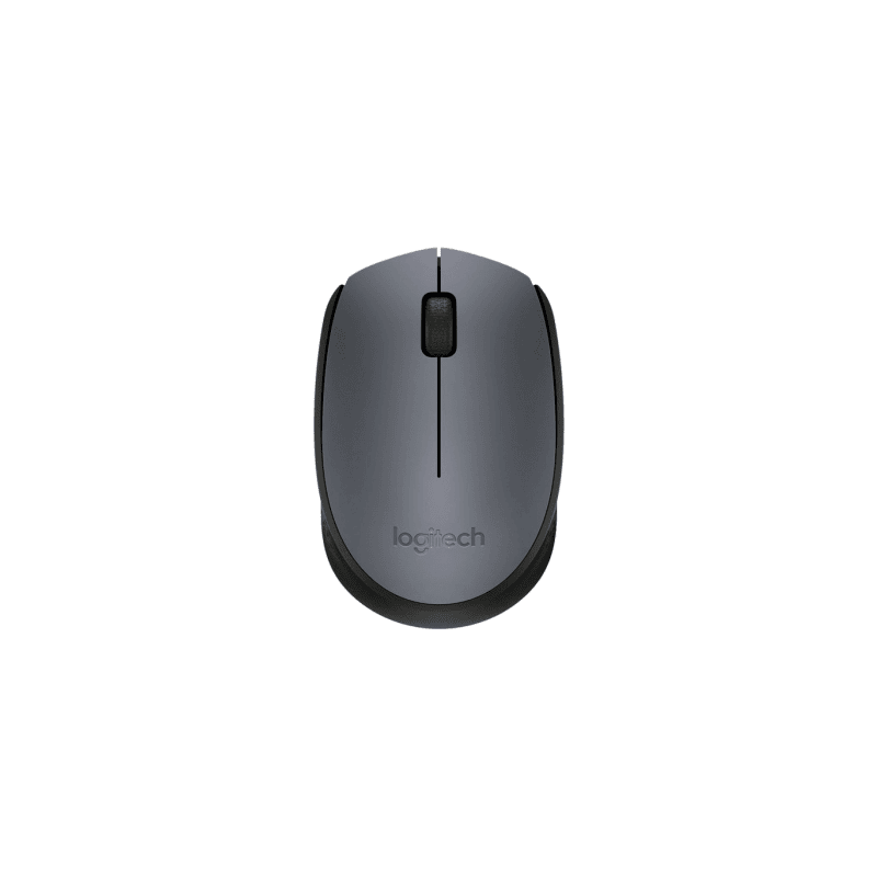 Logitech Mouse M171