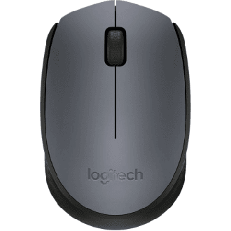 Logitech Mouse M171