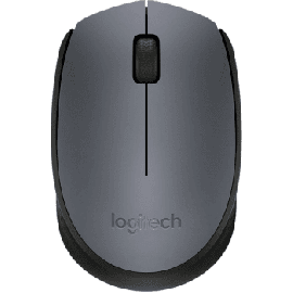 Logitech Mouse M171