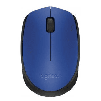 Logitech Mouse M171