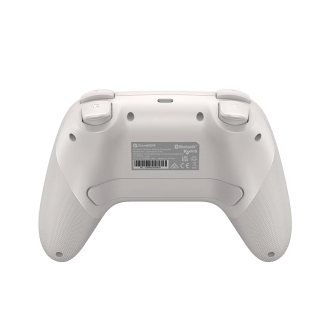 GameSir Nova HD Rumble NS Controller