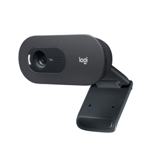 Web Kamera Logitech C505