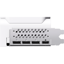 Grafička Man GeForce® RTX 5080 16GB Polar Fox OC V2