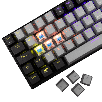 Tipkovnica White Shark GK-002722V2 WAKIZASHI-2 /