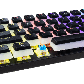 Tipkovnica White Shark GK-2202 ASHIKO-2 Crna / US