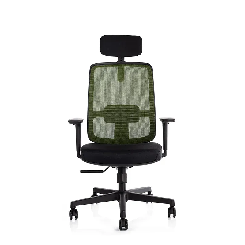 Stolac Ergovision Ergo basic (Ergo basic 05) zeleni