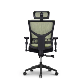 Stolica Ergovision Essent crna/zelena (Essent 05)
