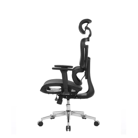 Stolica Ergovision Appolo Plus