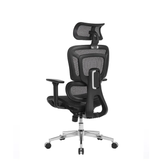 Stolica Ergovision Appolo Plus