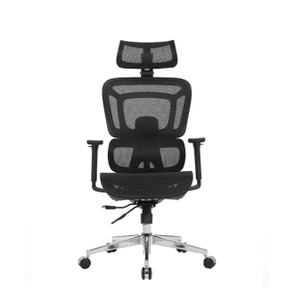 Stolica Ergovision Appolo Plus