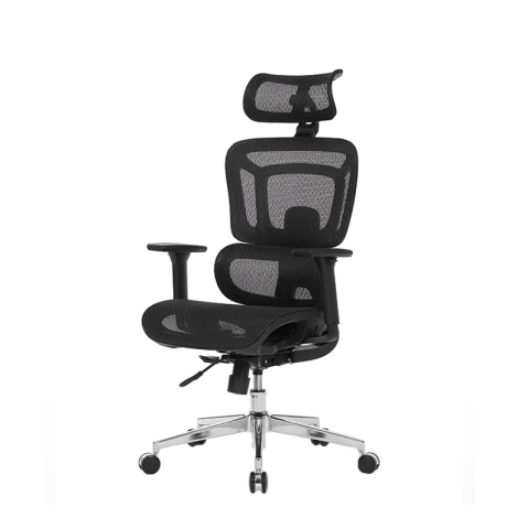 Stolica Ergovision Appolo Plus