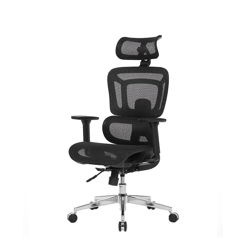 Stolica Ergovision Appolo Plus