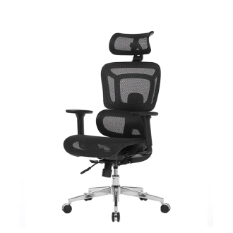 Stolica Ergovision Appolo Plus