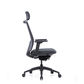 Stolica Ergovision Expert crna