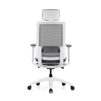 Stolica Ergovision Expert Bijela