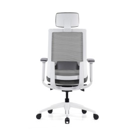 Stolica Ergovision Expert Bijela