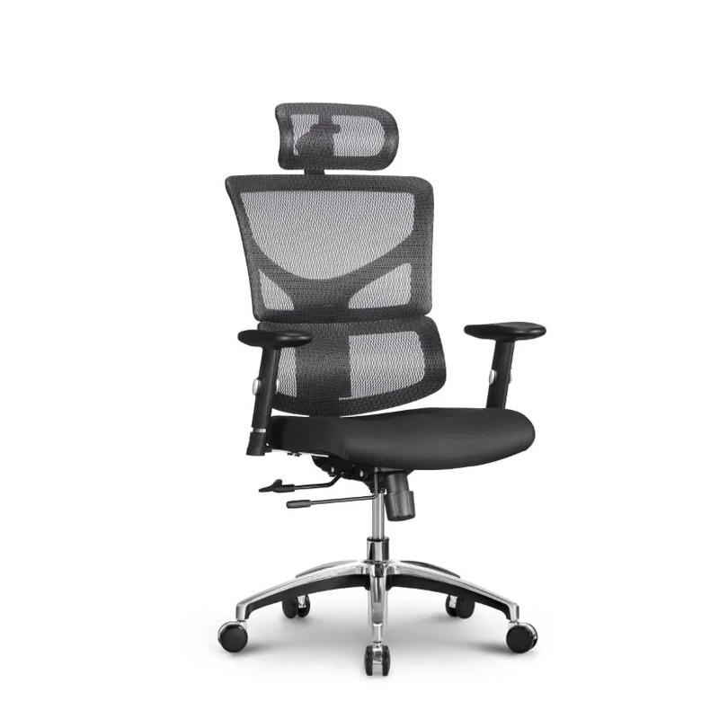 Stolica Ergovision Smart Basic