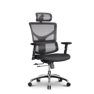 Stolica Ergovision Smart Basic