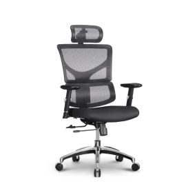 Stolica Ergovision Smart Basic