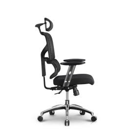Stolica Ergovision Smart Basic