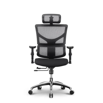 Stolica Ergovision Smart Basic
