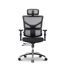 Stolica Ergovision Smart Basic