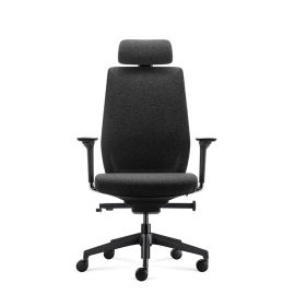 Stolica Ergovision Comfort Crni Okvir crna (Comfort 02)
