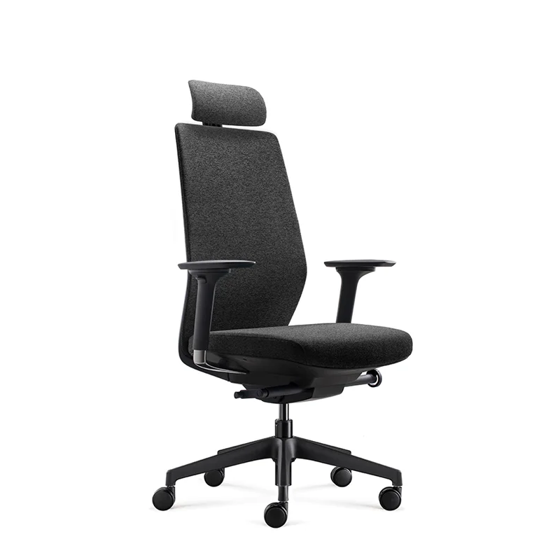 Stolica Ergovision Comfort Crni Okvir crna (Comfort 02)