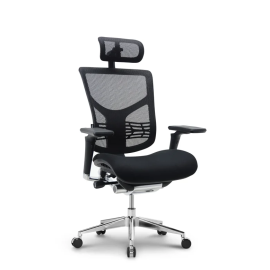 Stolica Ergovision Essent PLUS