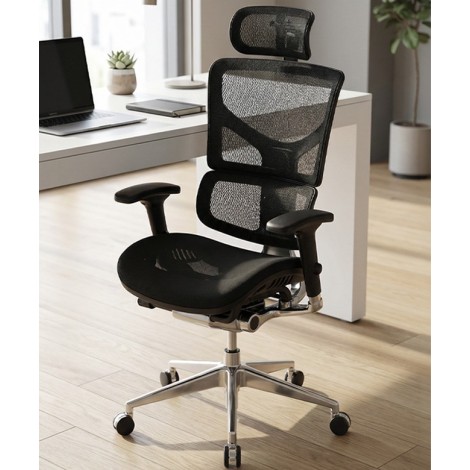 Stolica Ergovision Smart PLUS