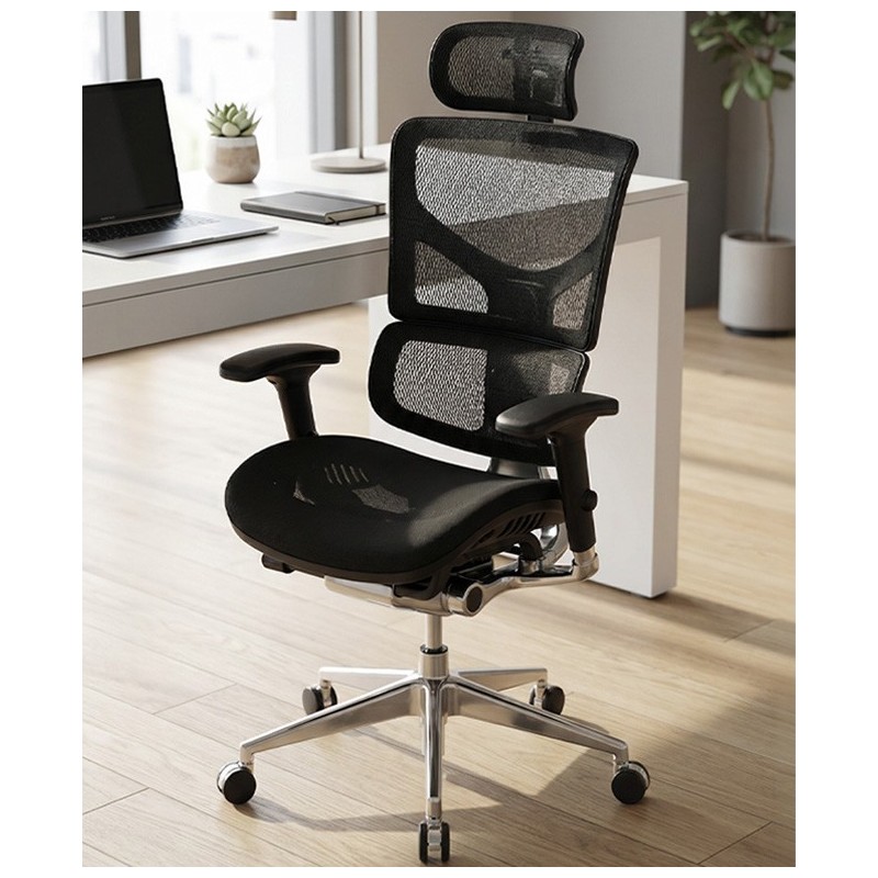 Stolica Ergovision Smart PLUS