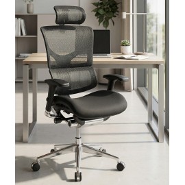 Stolica Ergovision Smart PLUS
