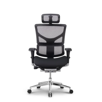 Stolica Ergovision Smart PLUS