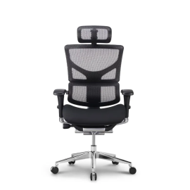 Stolica Ergovision Smart PLUS