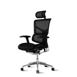 Stolica Ergovision Smart PLUS