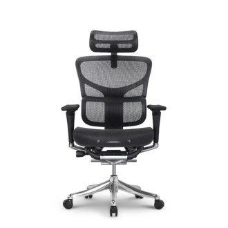 Stolica Ergovision Smart plus PRO