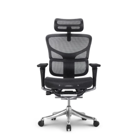 Stolica Ergovision Smart plus PRO