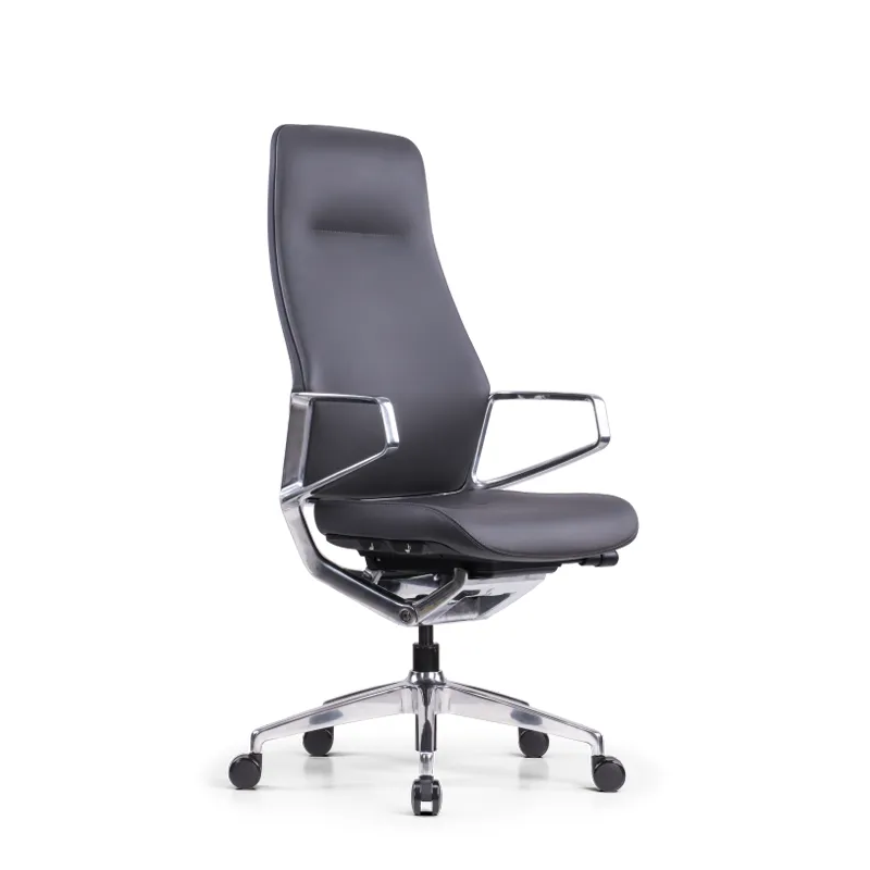 Stolica Ergovision Elite crna (Elite 02)