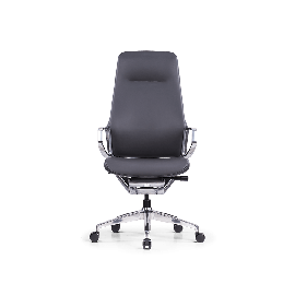 Stolica Ergovision Elite crna (Elite 02)