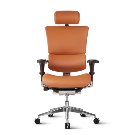 Stolica Ergovision Smart Deluxe camel (Smart Deluxe 01)