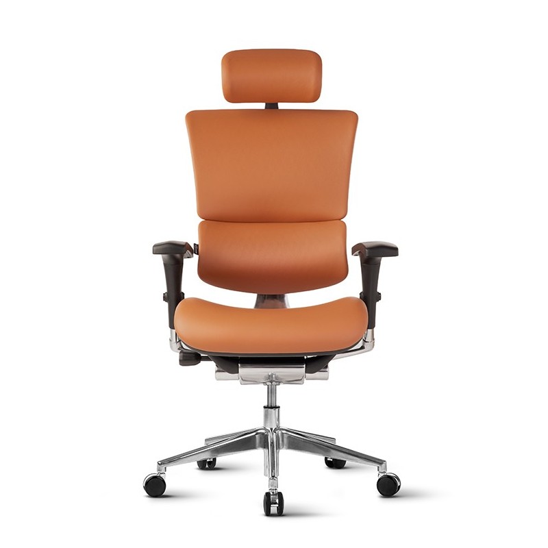 Stolica Ergovision Smart Deluxe camel (Smart Deluxe 01)