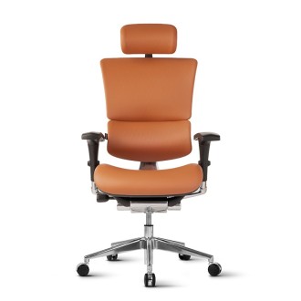 Stolica Ergovision Smart Deluxe camel (Smart Deluxe 01)