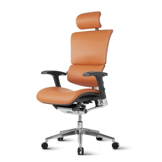 Stolica Ergovision Smart Deluxe camel (Smart Deluxe 01)
