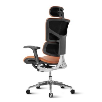 Stolica Ergovision Smart Deluxe camel (Smart Deluxe 01)