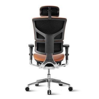Stolica Ergovision Smart Deluxe camel (Smart Deluxe 01)