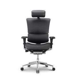 Stolica Ergovision Smart Deluxe crna (Smart Deluxe 02)