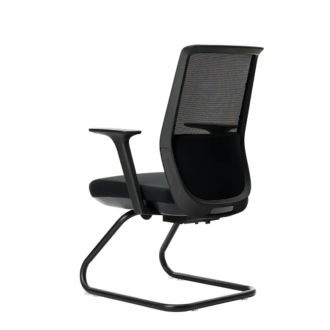 Stolica Ergovision Task
