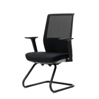 Stolica Ergovision Task