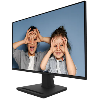 MSI PRO MP252 Professional Business Monitor, 24.5", IPS, 1920 x 1080 (FHD), 100Hz, 300nits, 1ms/4ms, HDMI, Display Port, Headpho